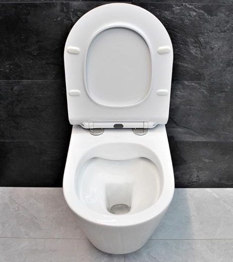 Унітаз підвісний Dusel AREZ DWHT10210230R із сидінням Slim Soft-Close (DUS802301) - 12