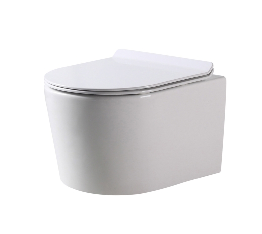 Унітаз підвісний Dusel AREZ DWHT10210230R із сидінням Slim Soft-Close (DUS802301) - 1