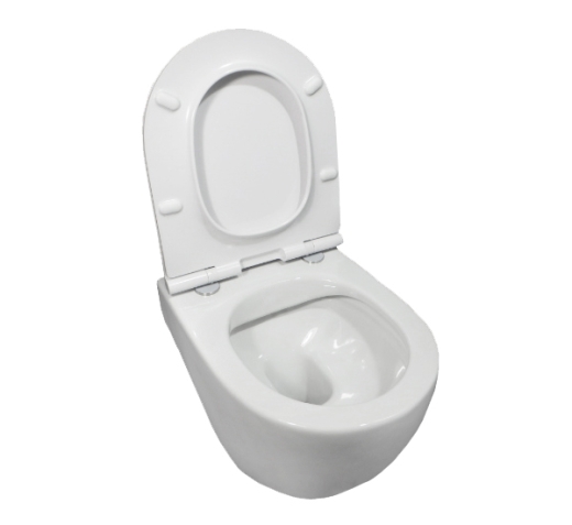 Унитаз Roca Meridian Rimless A34H242000 - 5