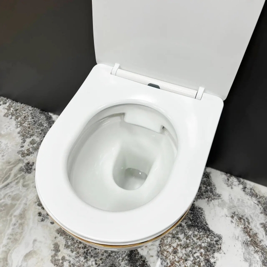 Подвесной унитаз VBI Vulcano Gold Edge (VBI-020402) - 3
