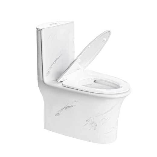 Унітаз-моноблок Insana SY 1612 PAINT rim 713977 білий (А0058450) - 6
