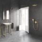 Шланговое подключение Grohe Rainshower 27057GL0 - 3
