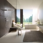 Верхний душ Hansgrohe Raindance 24001600 - 3