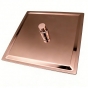 Душ верхній Grace 25 см червоне золото TS611 GOLD RED - 2