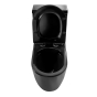 Унитаз-моноблок напольный Insana Ermin BG JL rim 65х36.5х79 черный (А0059573) - 5