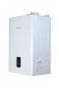 Котел газовый TEKNIX EnerGREEN-24 кВт + труба (122564) - 2