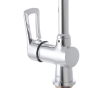 Кухонний змішувач Haiba Hansberg 017 (Brass Nut) HB0209 - 2