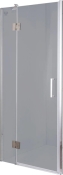 Душевая дверь Diamond Premium 195*90 DP SCR-09.2(MAT)